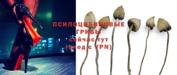 PSILOCYBIN Богородск